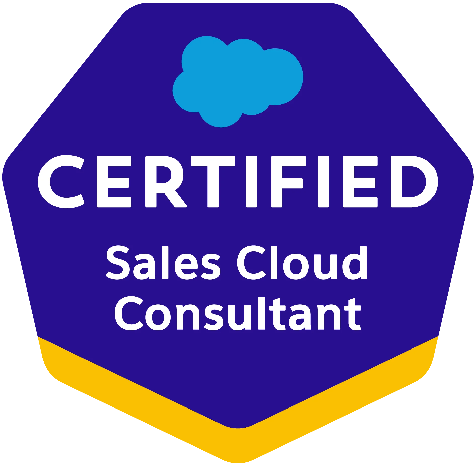 Salesforce SCC